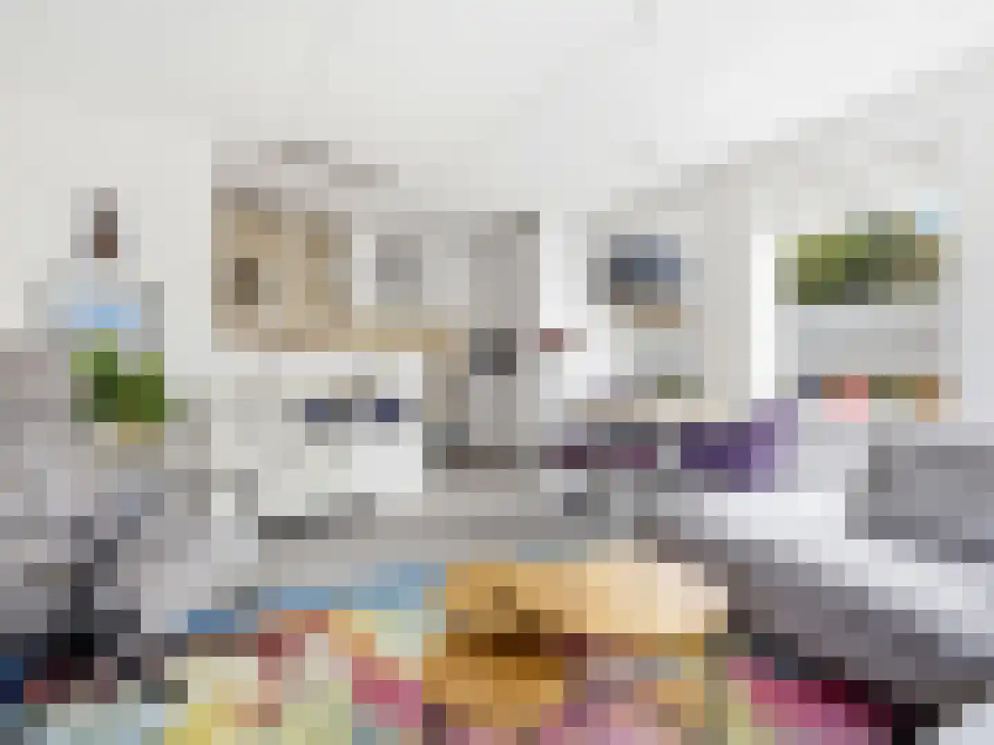 Kerkweg 4 A Heelsum thumbnail 6