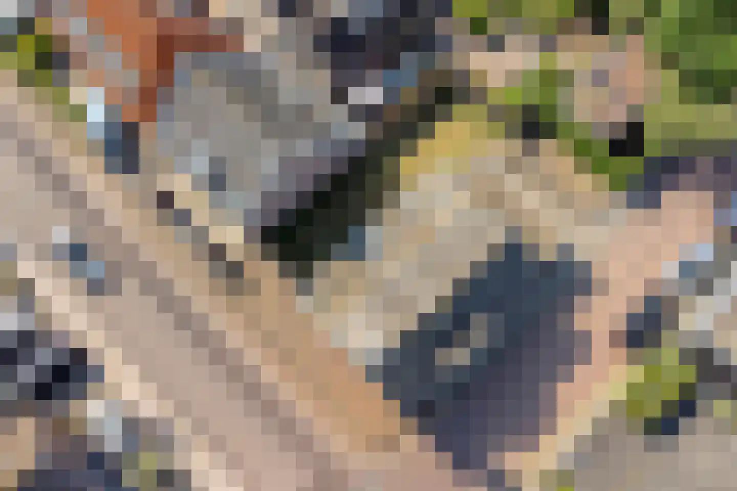 Kerkweg 4 Driebruggen thumbnail 14