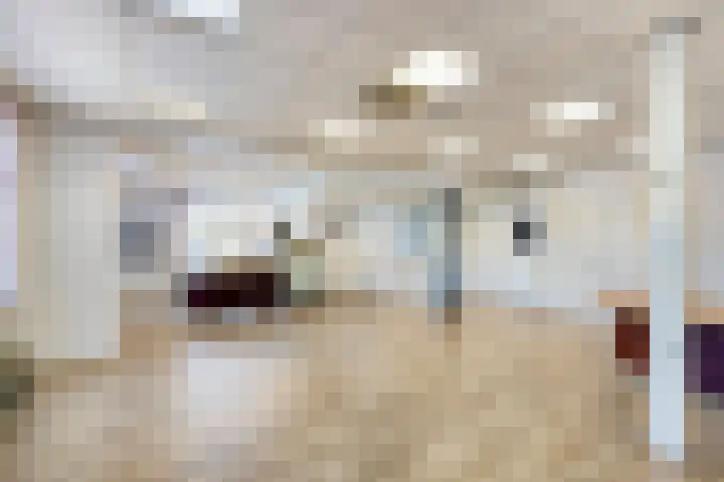 Kerkweg 4 Driebruggen thumbnail 16