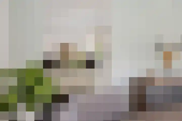 Kerkweg 4 Sebaldeburen thumbnail 10
