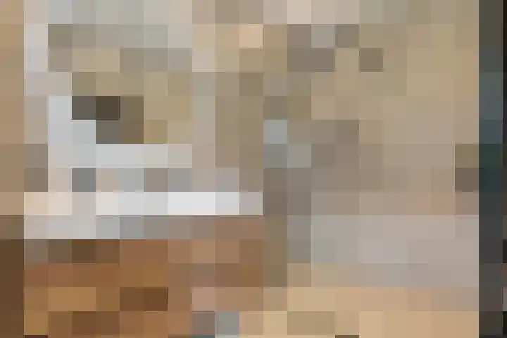 Kerkweg 4 Sebaldeburen thumbnail 16
