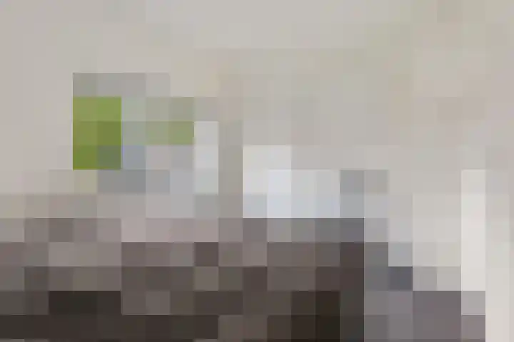 Kerkweg 4 Sebaldeburen thumbnail 22