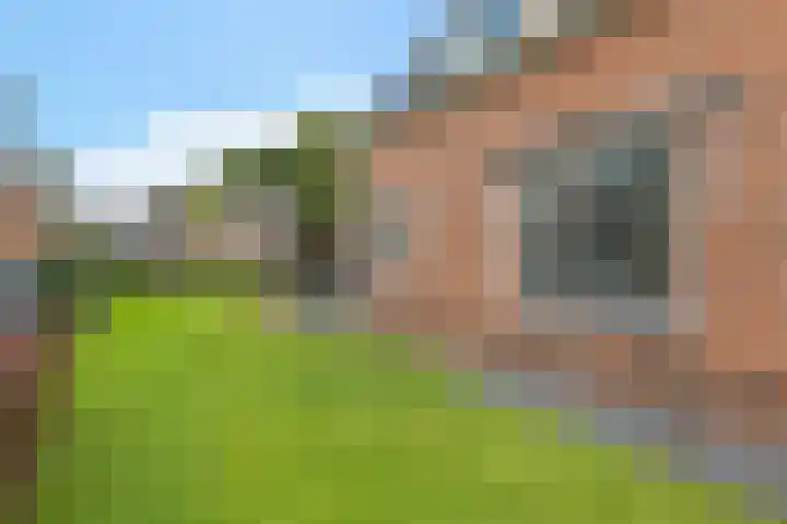 Kerkweg 4 Sebaldeburen thumbnail 28
