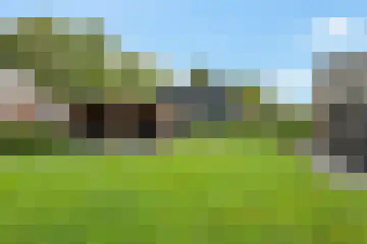 Kerkweg 4 Sebaldeburen foto 3