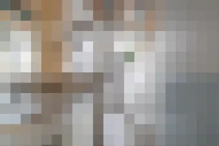 Kerkweg 40 Nieuwendijk thumbnail 12