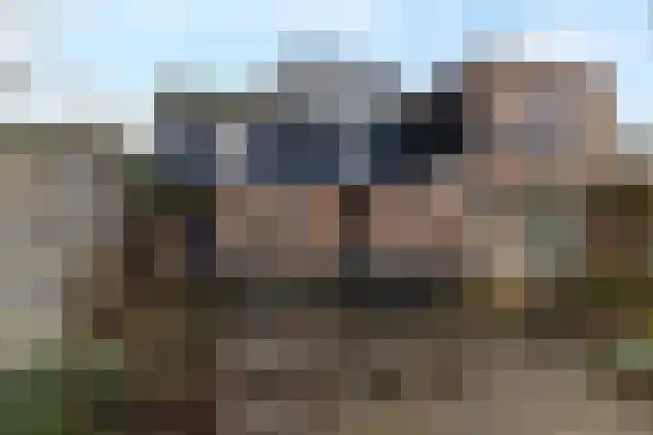Kerkweg 40 Nieuwendijk thumbnail 26
