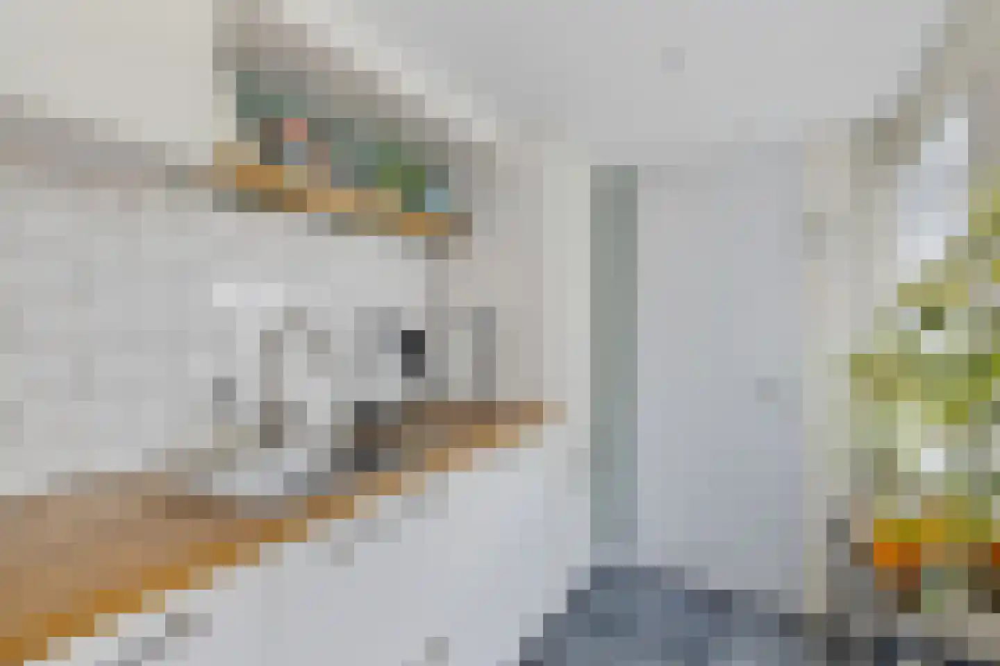 Kerkweg 40 Utrecht thumbnail 15
