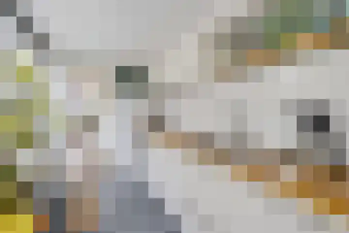 Kerkweg 40 Utrecht thumbnail 16
