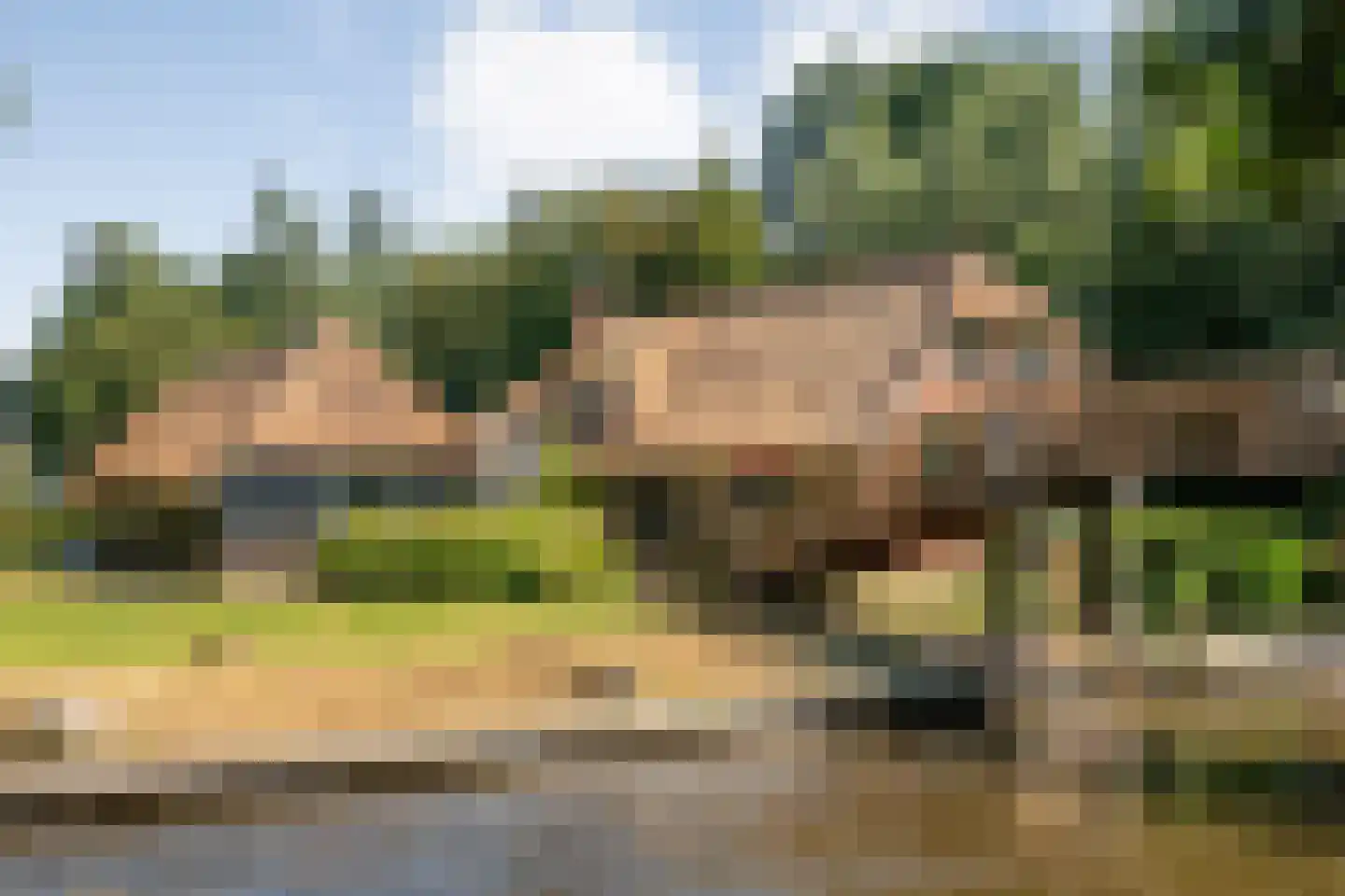 Kerkweg 41 Giethoorn thumbnail 102