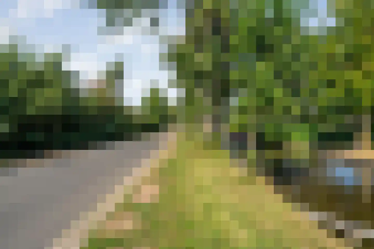 Kerkweg 41 Giethoorn thumbnail 103