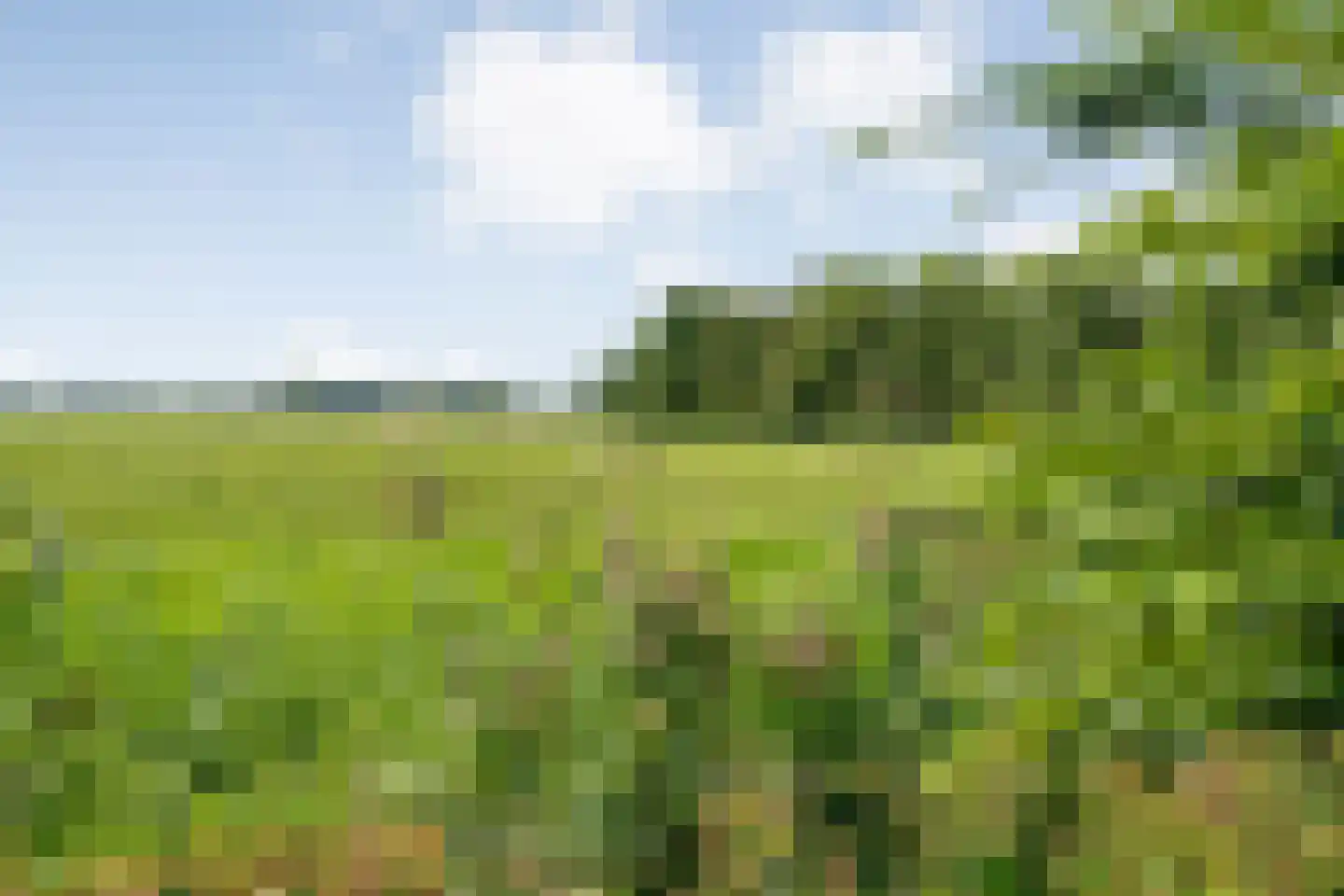 Kerkweg 41 Giethoorn thumbnail 11