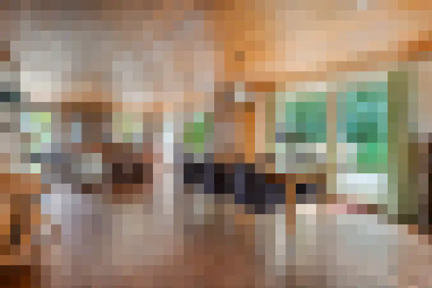 Kerkweg 41 Giethoorn thumbnail 17