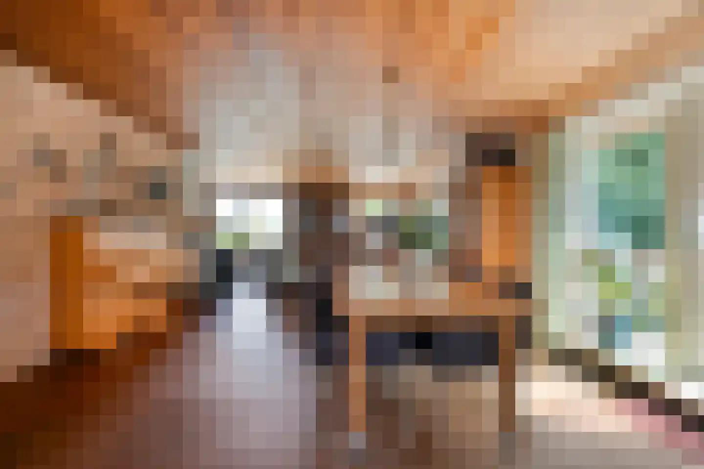Kerkweg 41 Giethoorn thumbnail 18