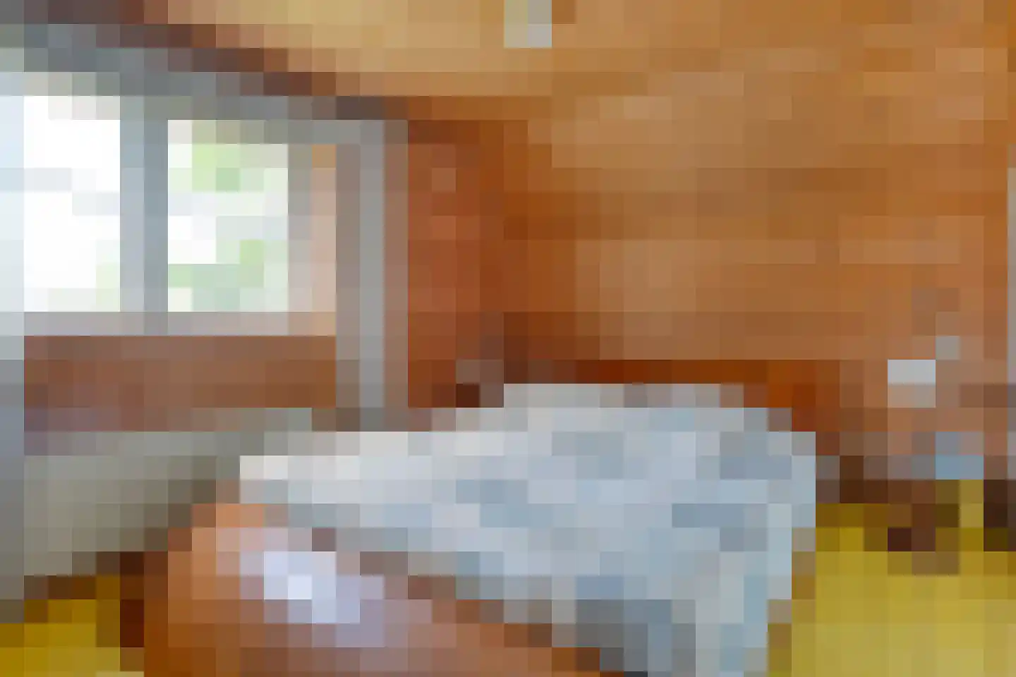 Kerkweg 41 Giethoorn thumbnail 36