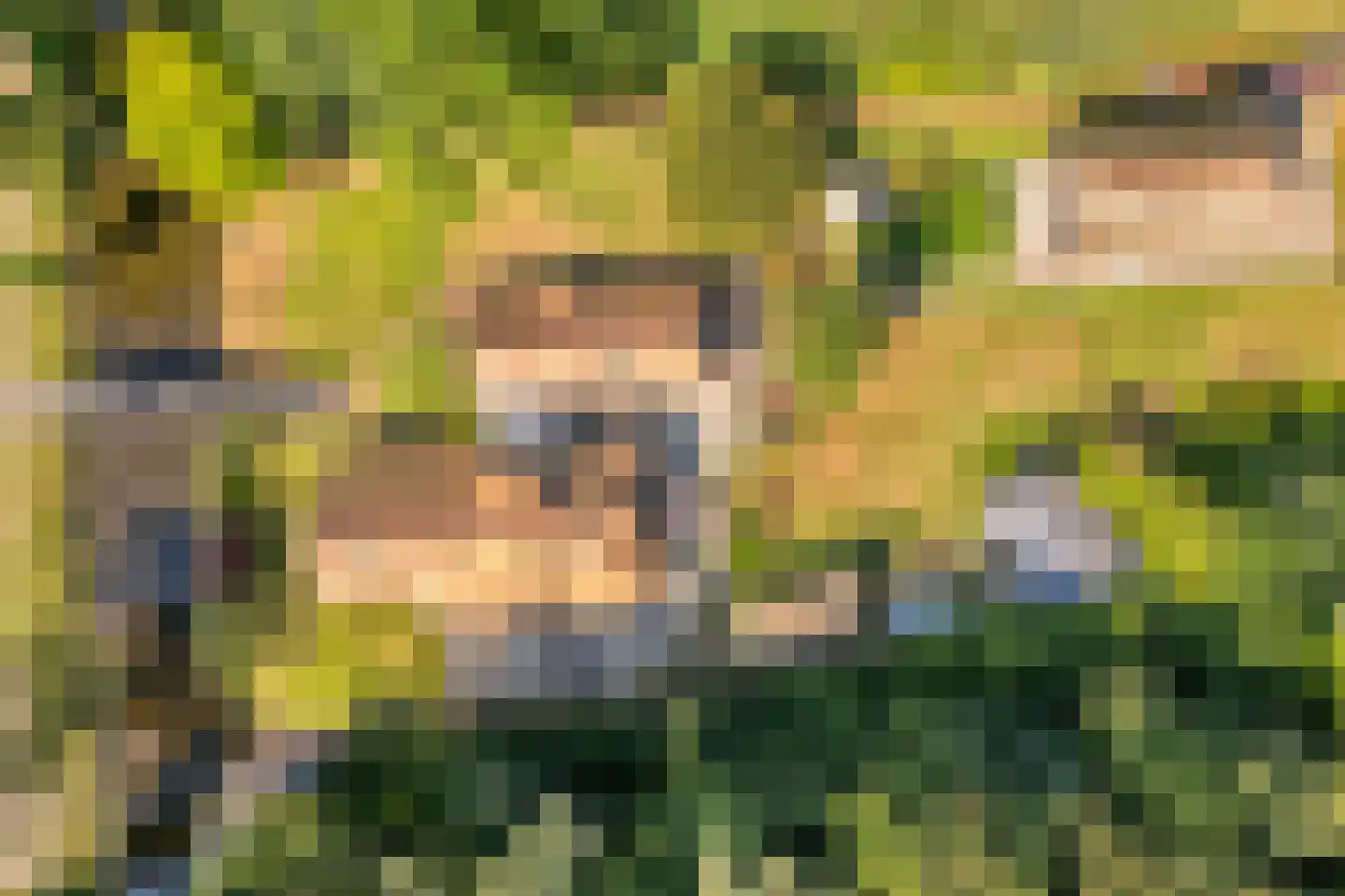 Kerkweg 41 Giethoorn thumbnail 51