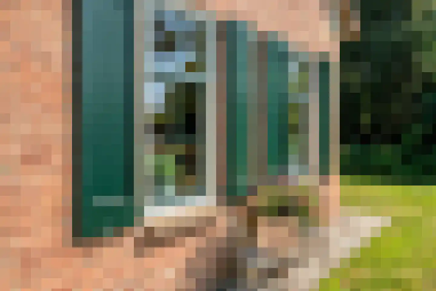 Kerkweg 41 Giethoorn thumbnail 57