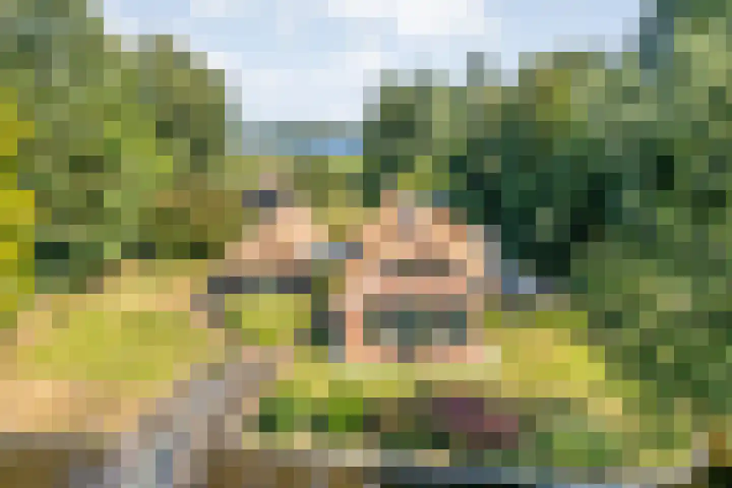 Kerkweg 41 Giethoorn thumbnail 6
