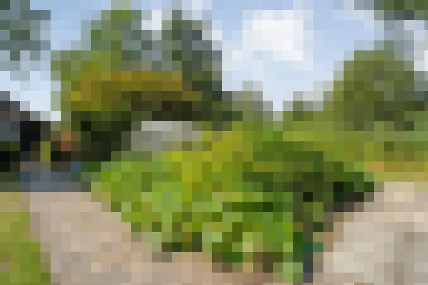 Kerkweg 41 Giethoorn thumbnail 60