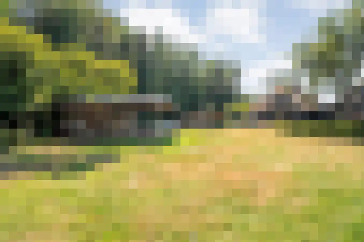 Kerkweg 41 Giethoorn thumbnail 61