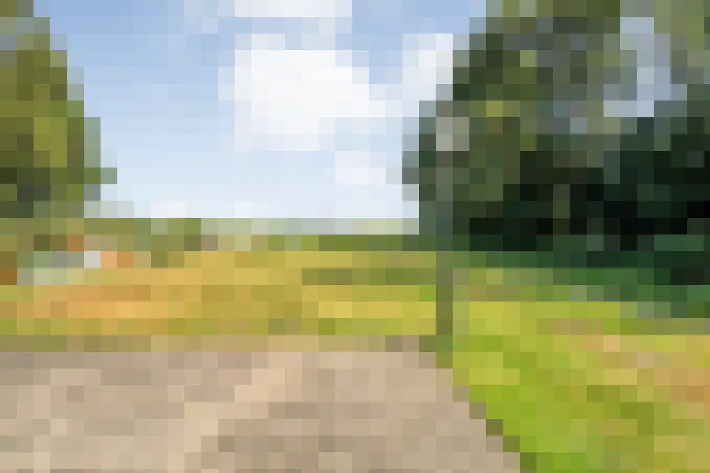 Kerkweg 41 Giethoorn thumbnail 62