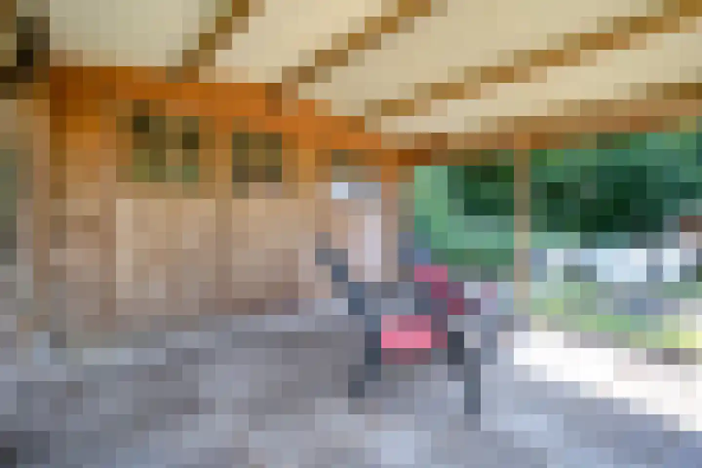 Kerkweg 41 Giethoorn thumbnail 76