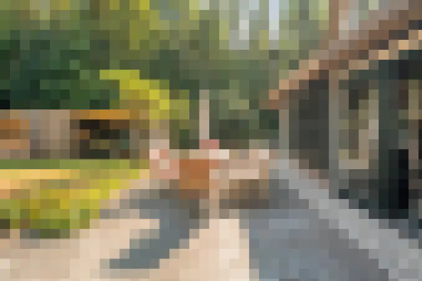 Kerkweg 41 Giethoorn thumbnail 77