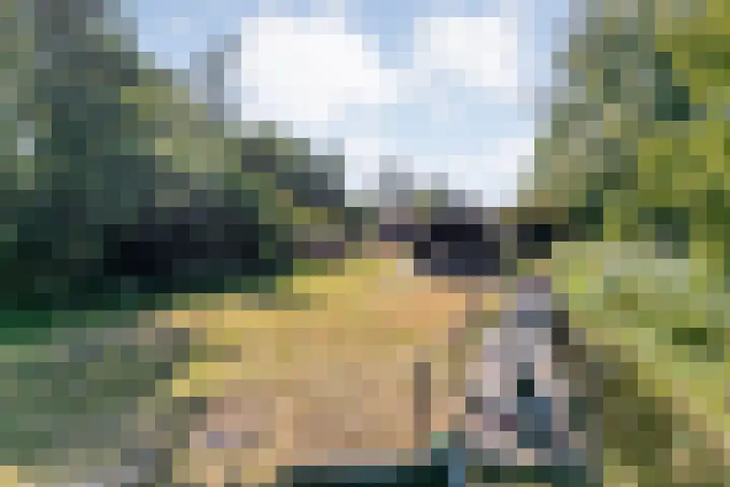 Kerkweg 41 Giethoorn thumbnail 82