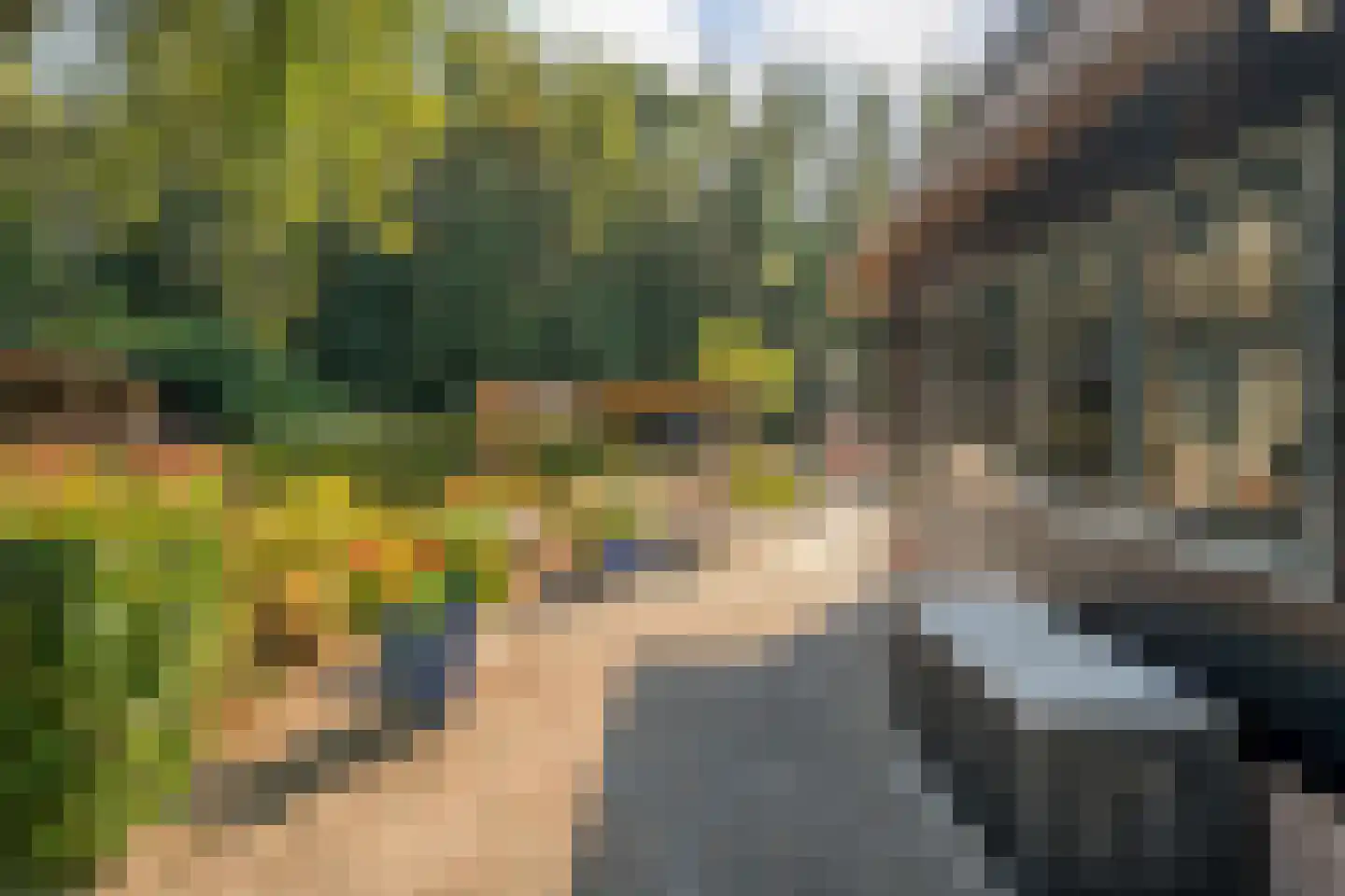 Kerkweg 41 Giethoorn thumbnail 84