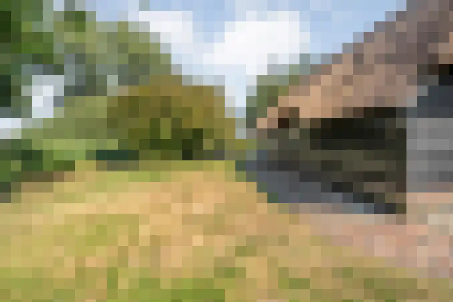 Kerkweg 41 Giethoorn thumbnail 86