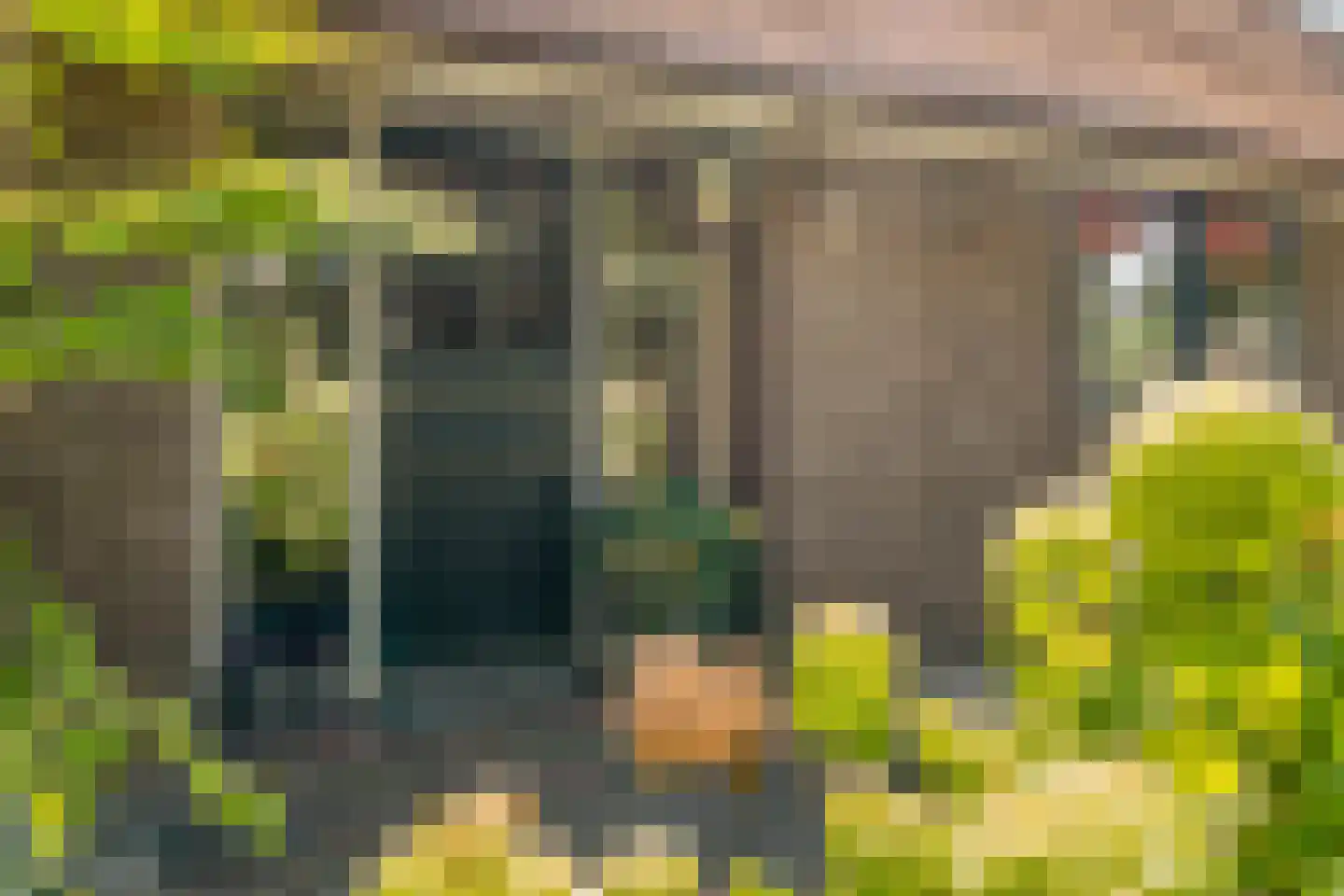 Kerkweg 41 Giethoorn thumbnail 87