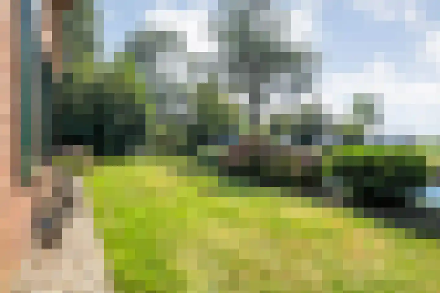 Kerkweg 41 Giethoorn thumbnail 89