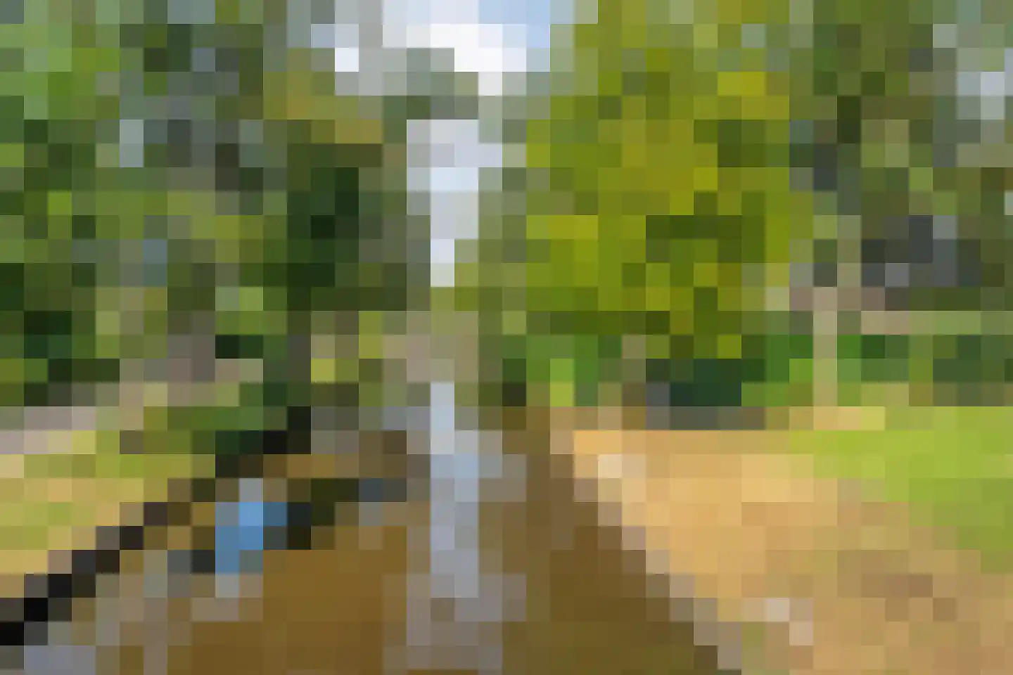 Kerkweg 41 Giethoorn thumbnail 90