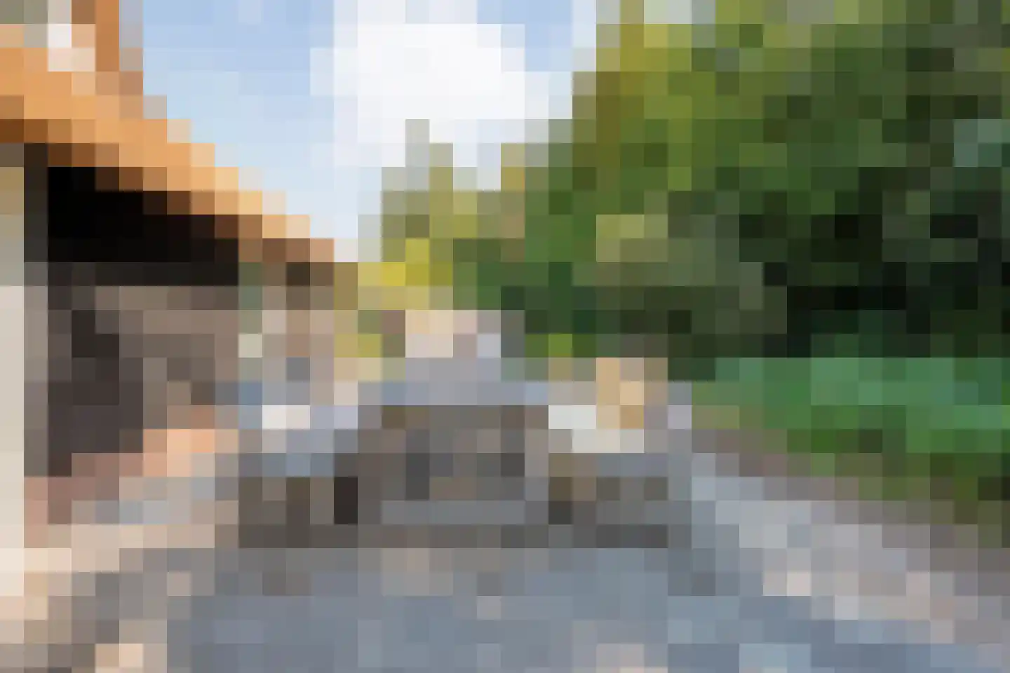 Kerkweg 41 Giethoorn thumbnail 92