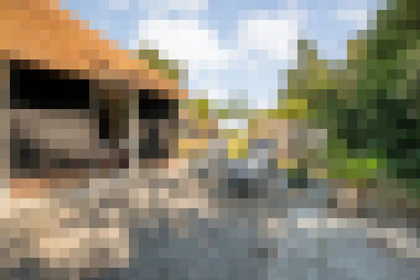 Kerkweg 41 Giethoorn thumbnail 93