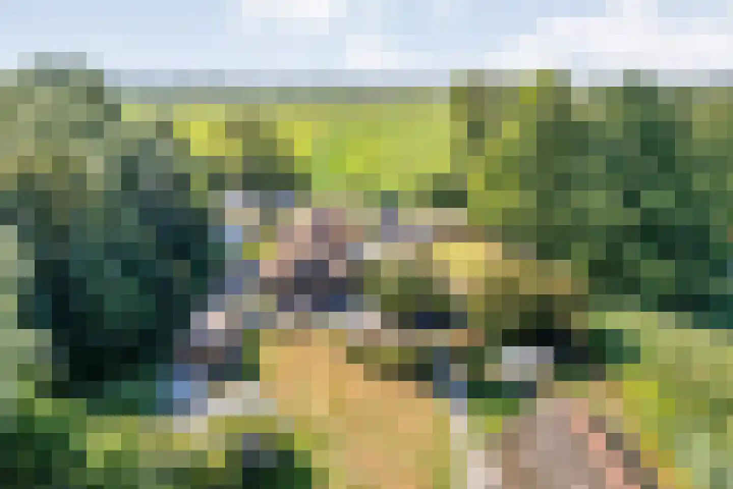 Kerkweg 41 Giethoorn thumbnail 97