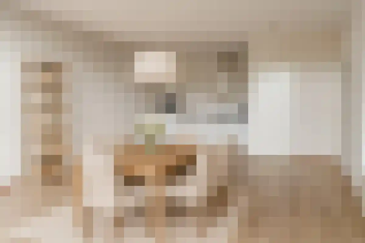 Kerkweg 41 Heemskerk thumbnail 6