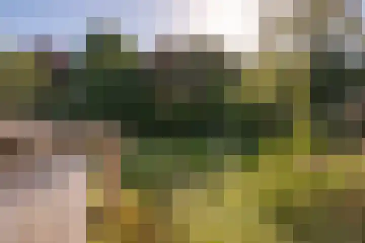 Kerkweg 41 Maria Hoop thumbnail 12
