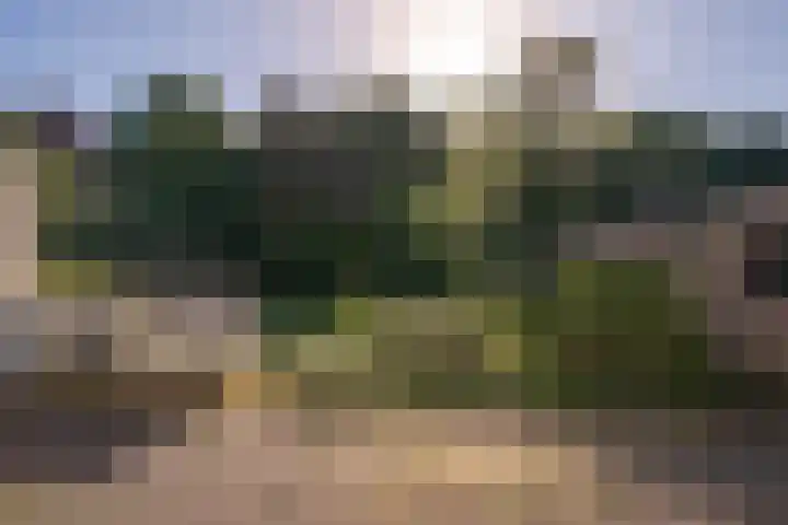 Kerkweg 41 Maria Hoop thumbnail 21