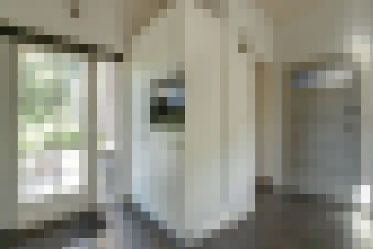Kerkweg 42 Berkenwoude thumbnail 15