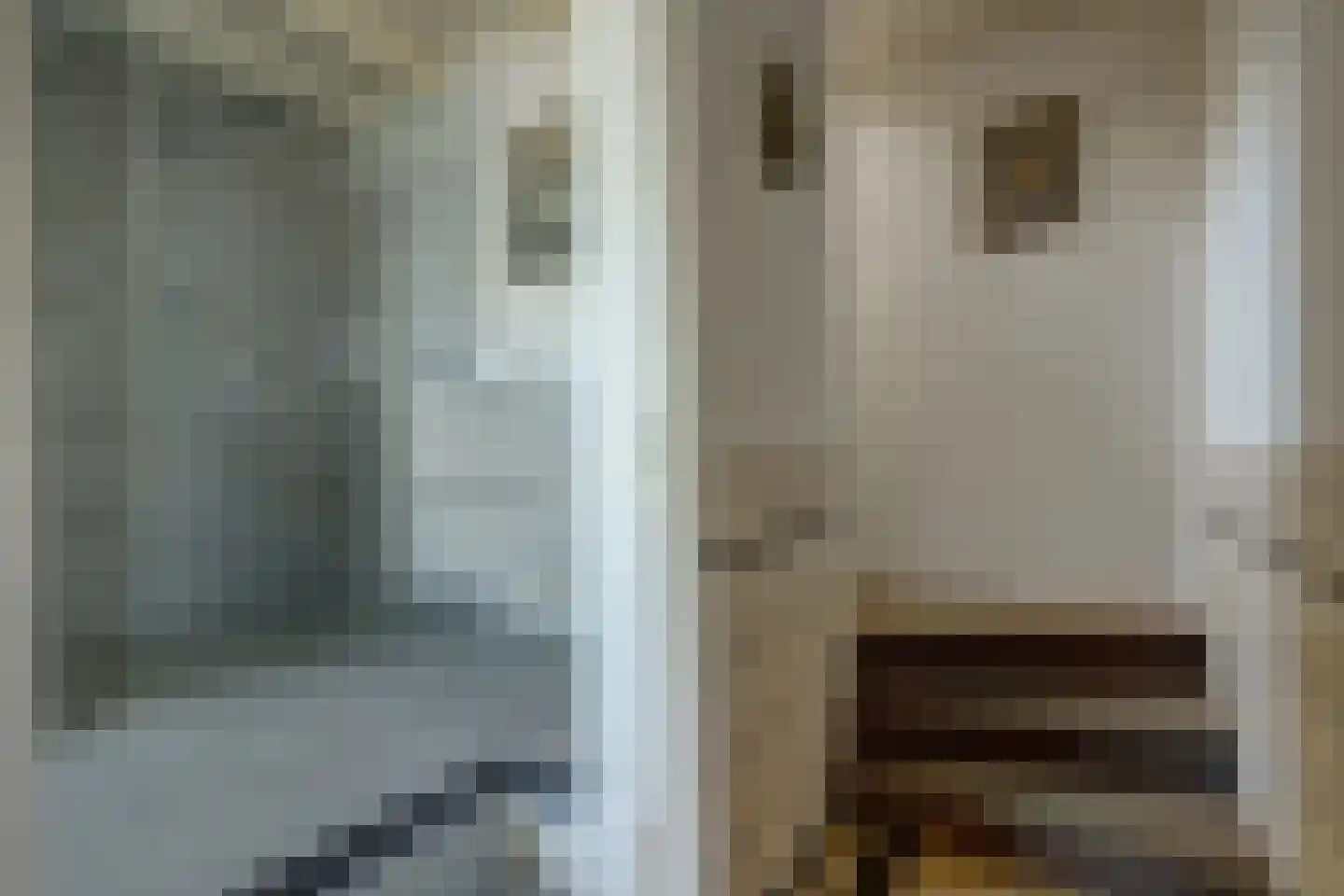 Kerkweg 42 Berkenwoude thumbnail 18