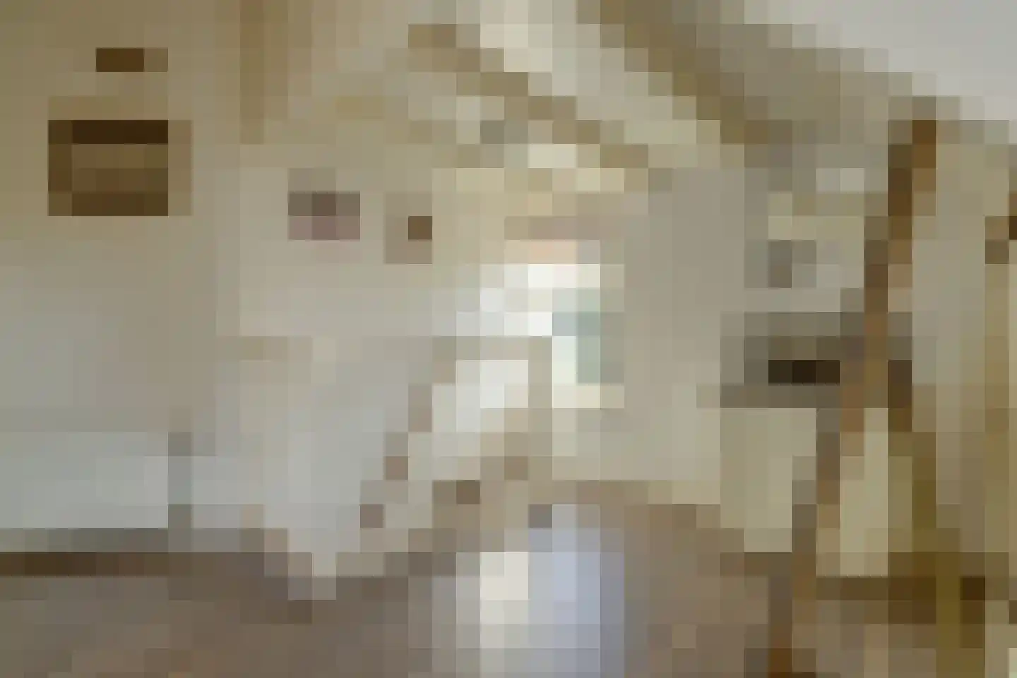 Kerkweg 42 Berkenwoude thumbnail 22