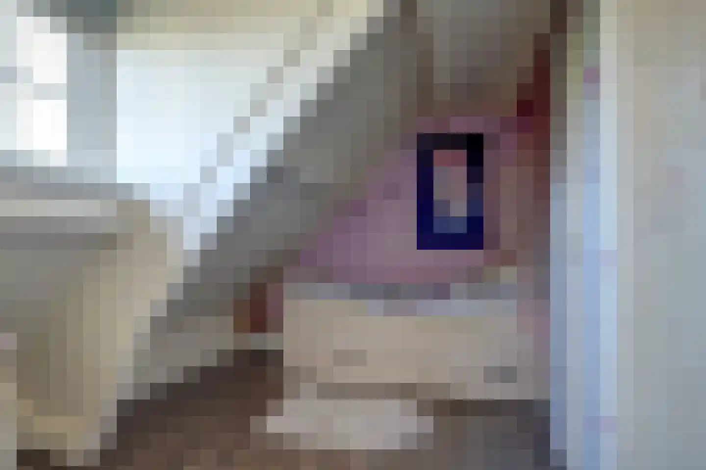 Kerkweg 42 Berkenwoude thumbnail 26