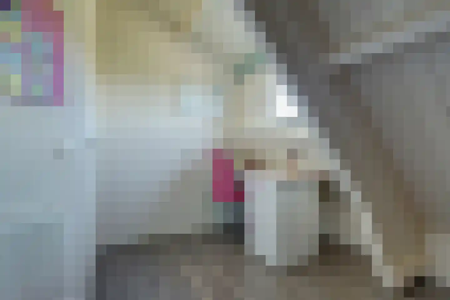 Kerkweg 42 Berkenwoude thumbnail 27