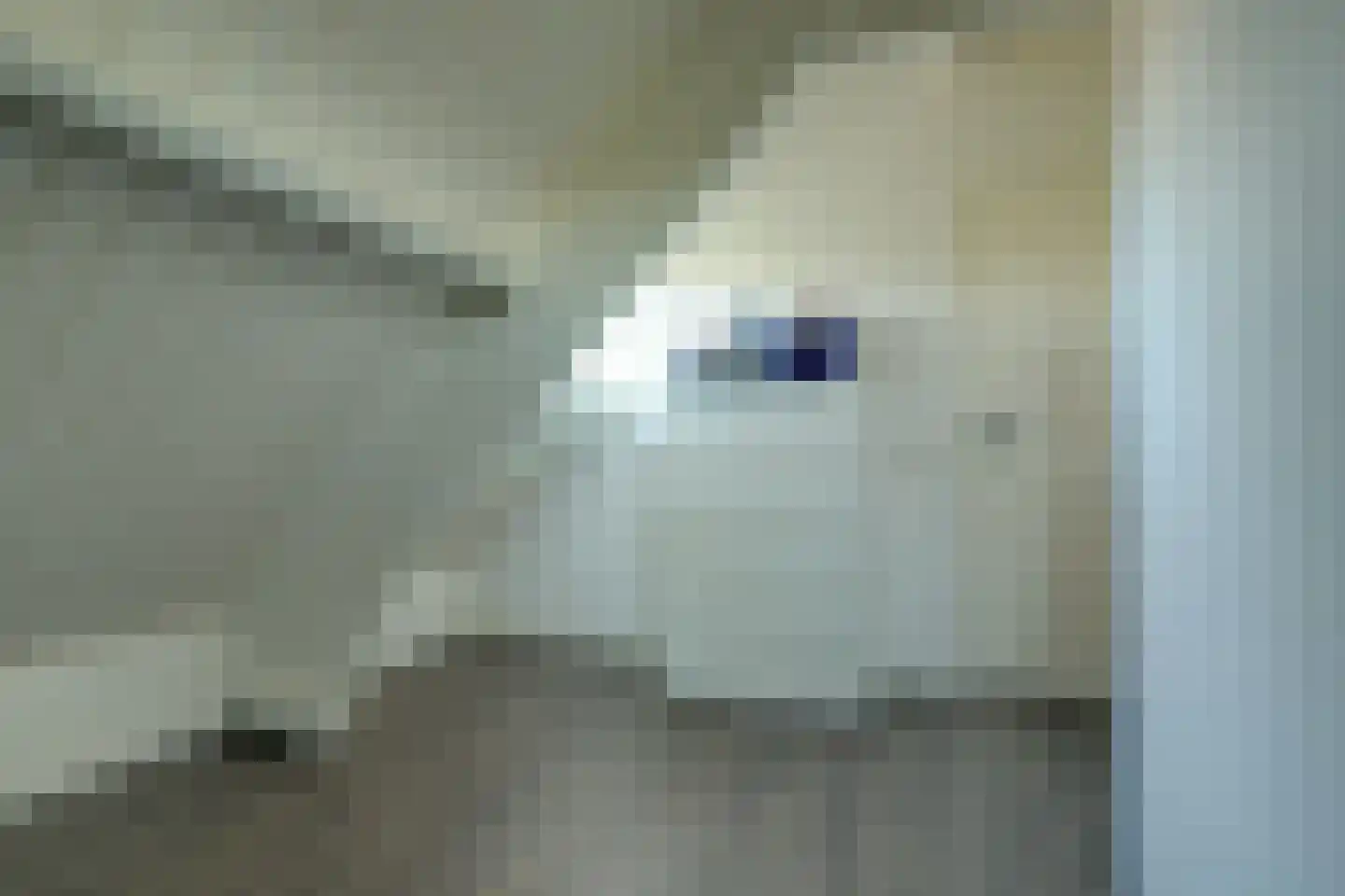 Kerkweg 42 Berkenwoude thumbnail 29