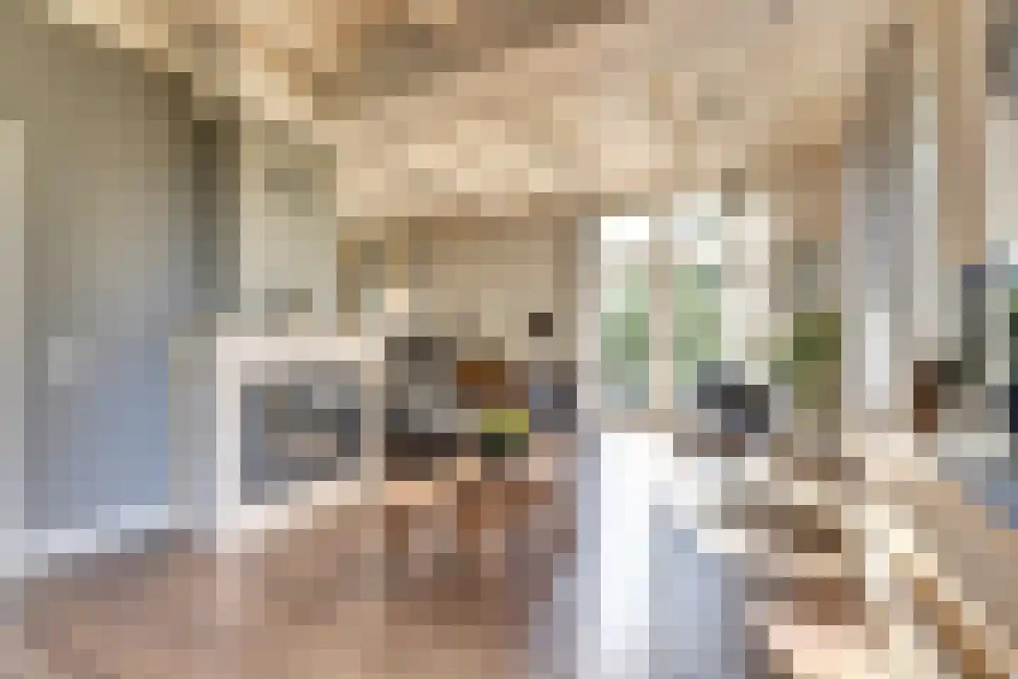 Kerkweg 42 Berkenwoude thumbnail 4