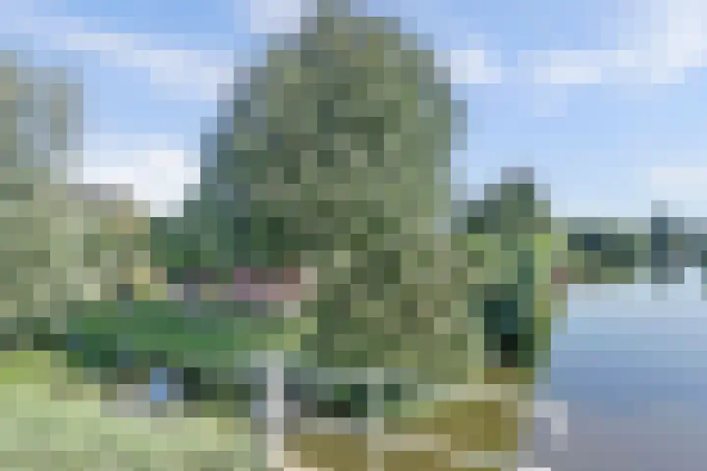 Kerkweg 42 Berkenwoude thumbnail 43
