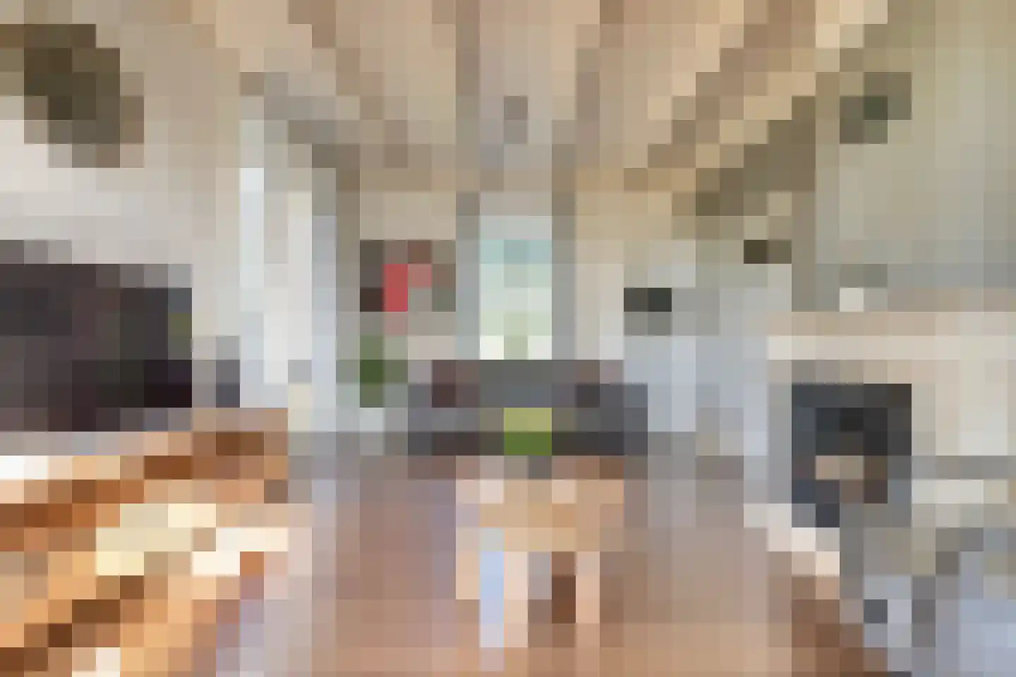 Kerkweg 42 Berkenwoude thumbnail 7