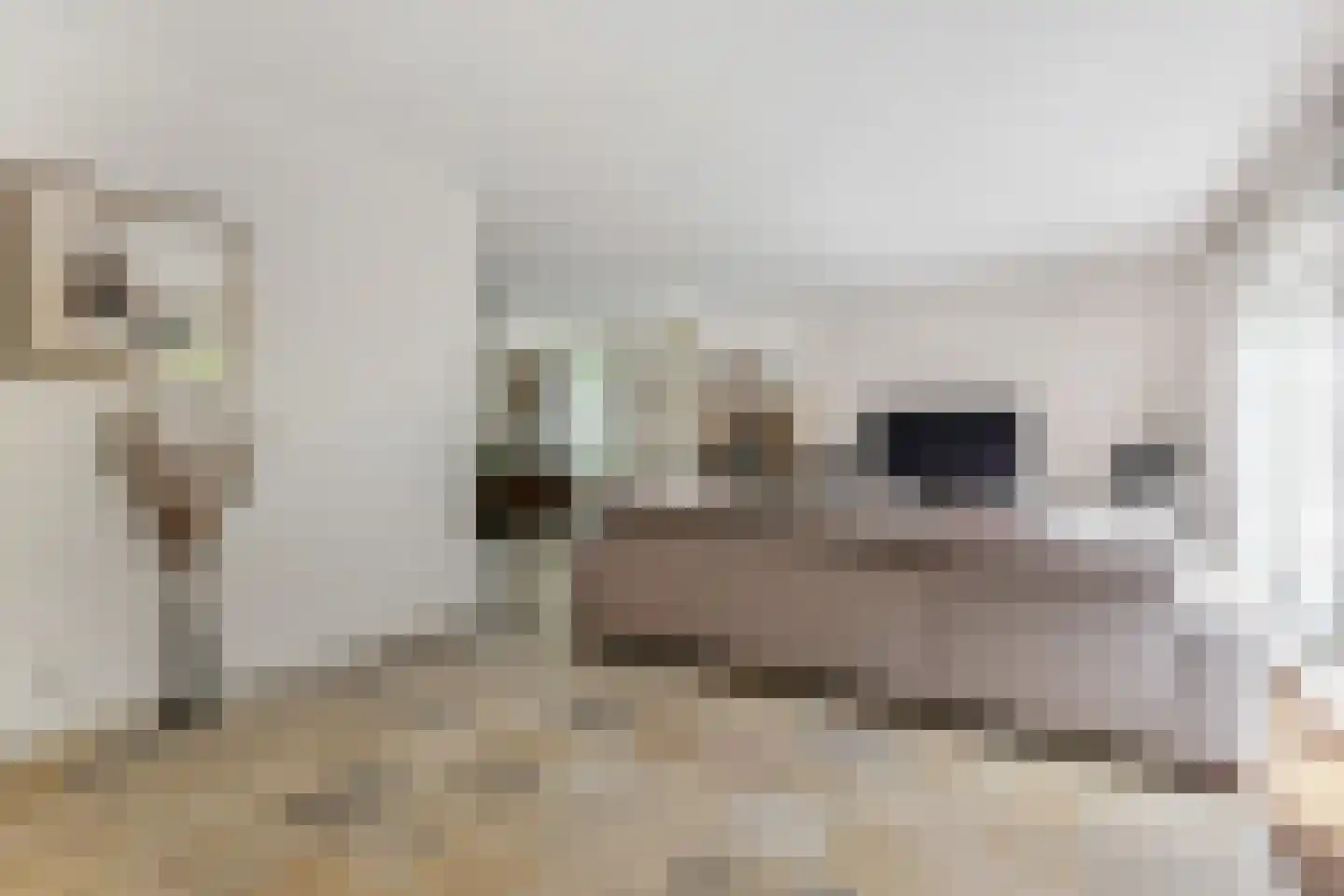 Kerkweg 43 Nootdorp thumbnail 17