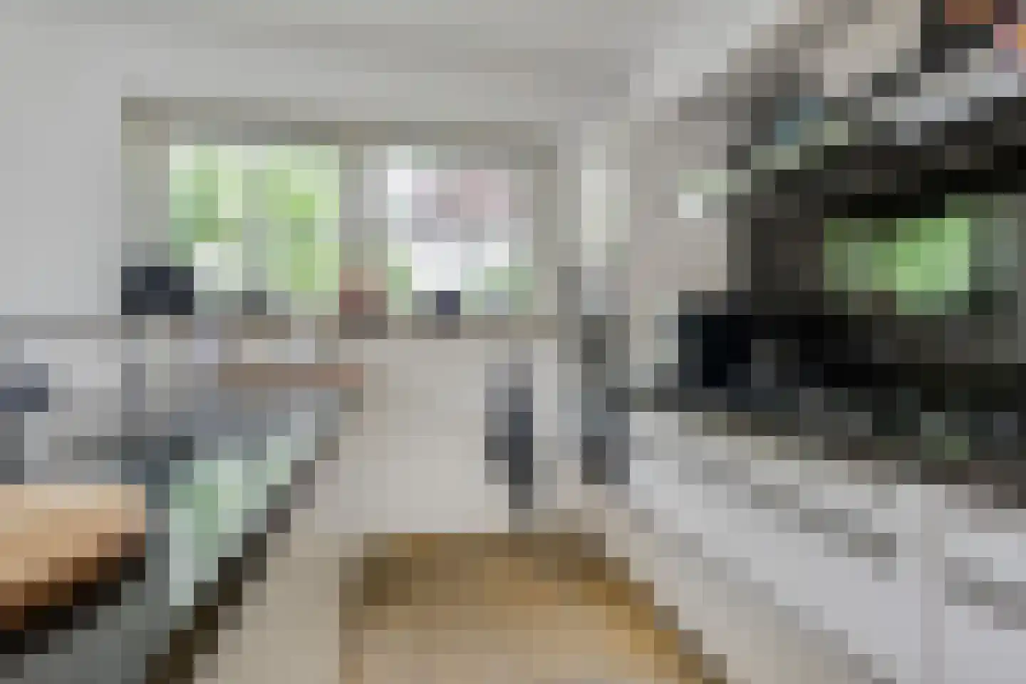 Kerkweg 43 Nootdorp thumbnail 24