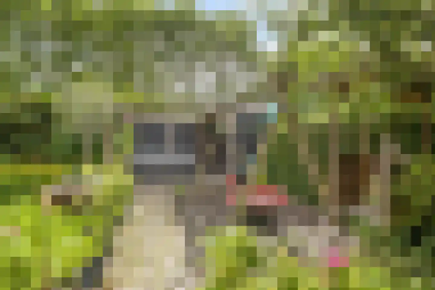 Kerkweg 43 Nootdorp thumbnail 28